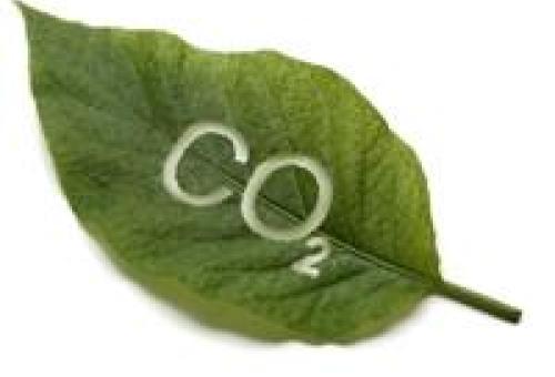 Oscar for the first all-CO2 Carrefour Market